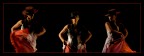 flamenco