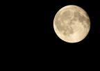 Luna Piena Luna Piena