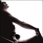 silhouette silhouette