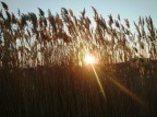 tramonto tramonto