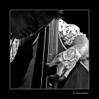 Ben Allison #6 Ben Allison #6