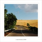 Curva... su curva Curva... su curva