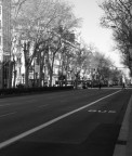 scattata a Barcellona in un momento particolarmente calmo