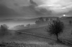 Una timida alba Una timida alba
