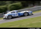 Viper panning Viper panning