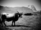 Campo Imperatore