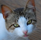 a me lo sguardo! a me lo sguardo!