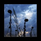 Cattivi presagi Cattivi presagi