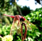 Ti sto a guardà.. Ti sto a guardà..