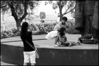 Loreto 15 Ago