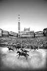 palio palio
