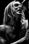 Iggy Pop l'iguana del rock Iggy Pop l'iguana del rock