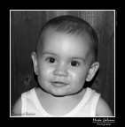 Francesco in Toscana Francesco in Toscana