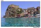 Scilla Scilla