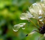 Gocce..... Gocce.....