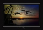 a new day