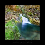 Falls Track Falls Track