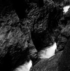 Acqua orfana Acqua orfana