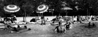la piscina la piscina