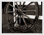 eventi western tutti da vivere