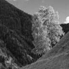 Luce e ombra 02 Luce e ombra 02