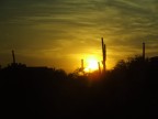 Nel pieno del deserto dell'Arizona