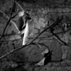 sta finendo... sta finendo...