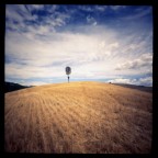 pinholiprove pinholiprove