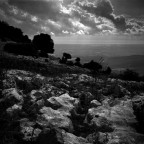 ecco perch la chiamano Roccasecca.
la nuda roccia emerge ovunque dal terreno.
una terra buona per le capre e poco pi... ma molto interessante dal punto di vista fotografico.


yashica mat e Tmax100