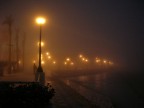 Luci nella nebbia Luci nella nebbia