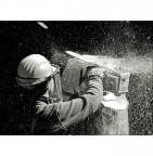 ............. .............