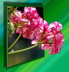 Out of bound.......Fiore Out of bound.......Fiore