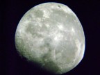 Luna Luna