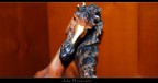 Cavallo
