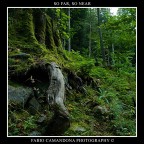 so far, so near so far, so near