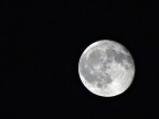 Luna piena Luna piena