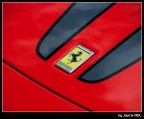 Cavallino Cavallino