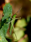 .....sconosciuto....datemi una mano...e...non lesinate i commenti.

baibai

k.