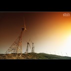 ...i giganti silenziosi. ...i giganti silenziosi.