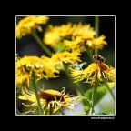 E ora quale scelgo? E ora quale scelgo?