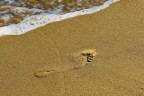 L'impronta