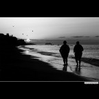 ::: UN NUOVO GIORNO ::: ::: UN NUOVO GIORNO :::