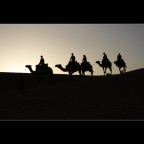 In the desert In the desert