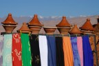 Colori Colori