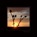 don't touch me.. don't touch me..