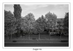 Scappo via Scappo via