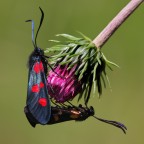 a triangolo ... ma in due a triangolo ... ma in due