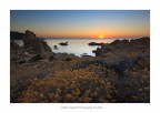 Suggerimenti e critiche sempre ben accetti.

Un altro tramonto fotografato a Costa Paradiso, Sardegna. Indescrivibile la sensazione di pace e tranquillit che ho provato i quei momenti. Spero che la foto riesca a rendere un minimo quelle emozioni.