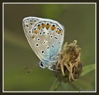 Sempre la stessa 2 (altro test lente) Sempre la stessa 2 (altro test lente)