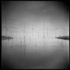 Trasimeno vision Trasimeno vision